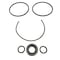 Permco Seal Kit, Hyd Pump, Dump Pump, Direct Mount Dmd-20 And Dmd-25 DM1-DMS - alternate 3